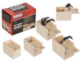 Strašidelný pavouk v dřevěné krabici