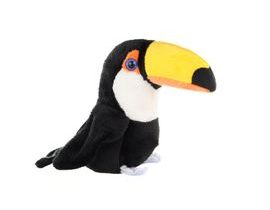 Toucan