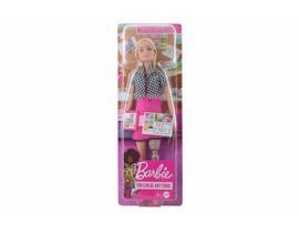 Barbie First Profession - interiérový dizajnér HCN12