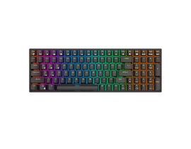 Mechanická klávesnice Royal Kludge RK100 RGB, hnědé spínače (černá)