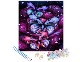 Malování podle čísel 30x40cm - Motýli