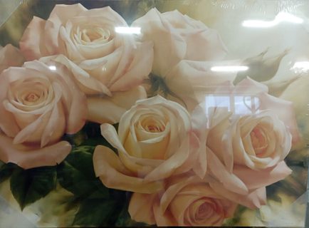 Obrázok na plátne 50x70/3 cm biele ruže