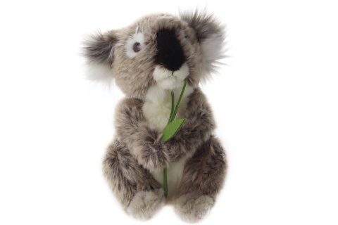 Plyšový koala 17 cm