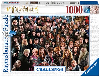 Harry Potter 1000 dielikov