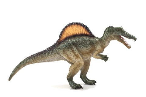 Mojo Spinosaurus