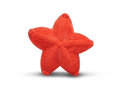 Lanke - Morská hviezdica