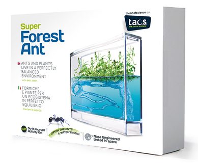 T.A.O.S. Super Forest Ant Ecoterrarium