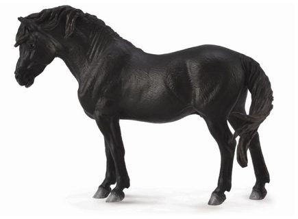 Dartmoorský pony - čierny