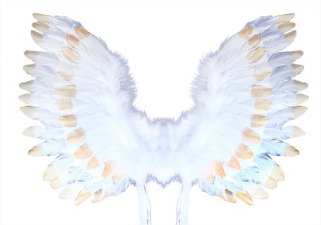 Anjelské krídla s perím bielo-zlatá