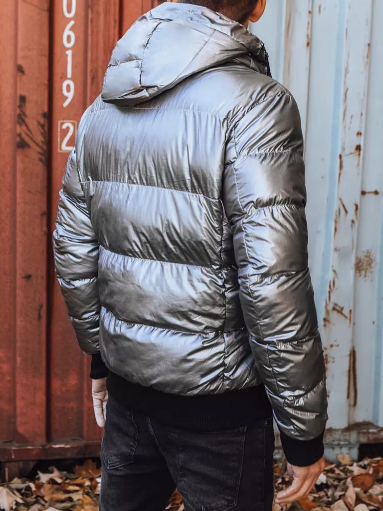 Zajímavá stříbrná bunda s kapucí na zimu - Budchlap.cz