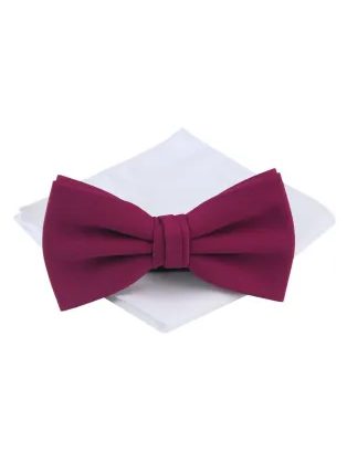 Červeno-fialový pánský motýlek Chattier