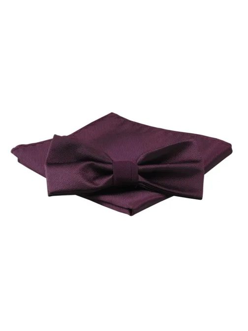 Elegantní bordový pánský motýlek Alties