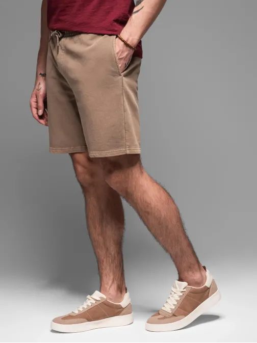 Základní hnědé pánské šortky V2 SRWS-0122