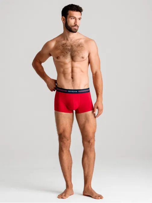 Barevné stylové boxerky unbo-0109(3ks)