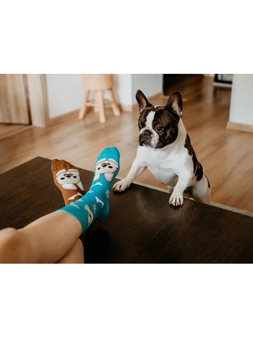 Dvojbarevné veselé ponožky pes Buldog