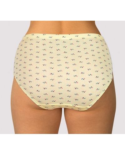 Vysoké bavlněné kalhotky Andrie z bavlněného ribu PS1710