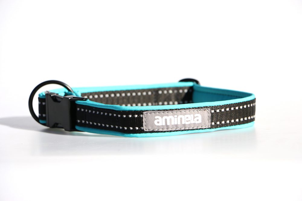 Aminela Sport & City Aminela obojek se sponou Sport & City 25mm/35-60cm, tyrkysová