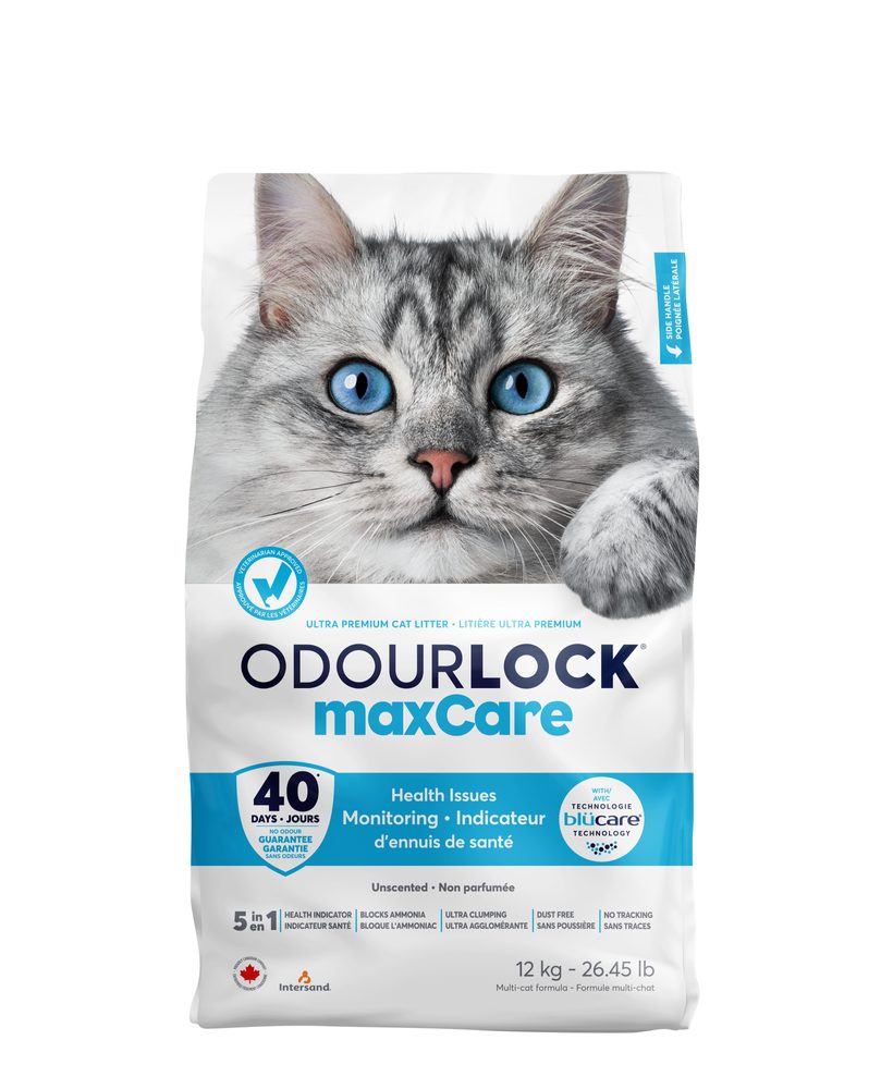 Intersand kočkolit Odourlock maxCare 12kg