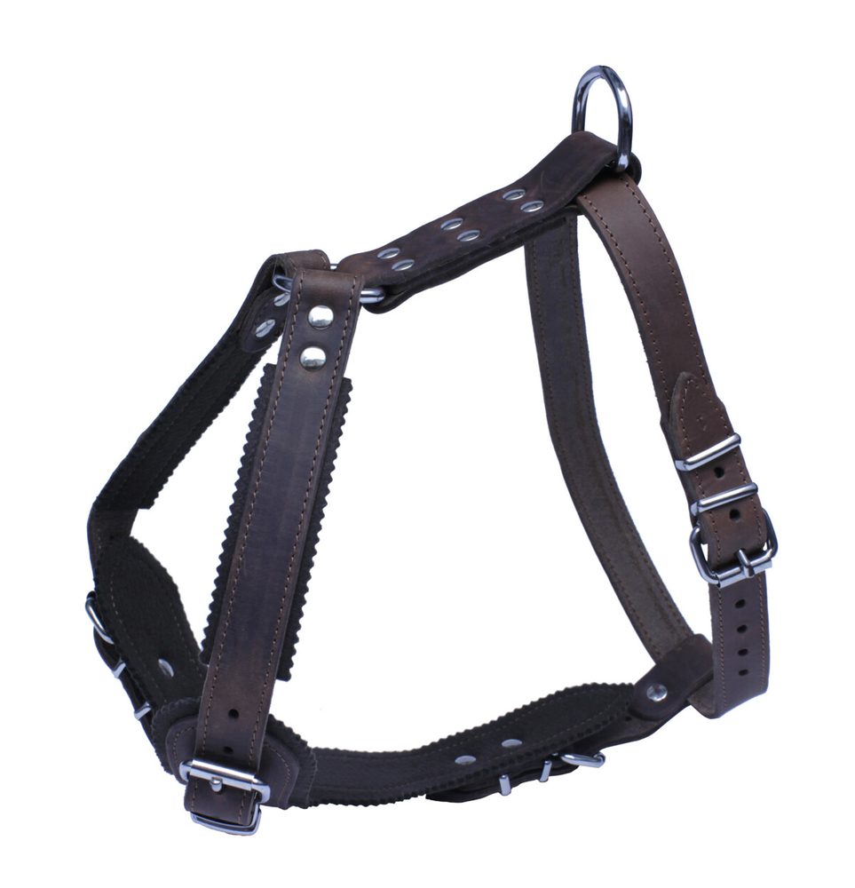 BAFPET Kožený postroj JAGO s náprsenkou - Hnědá