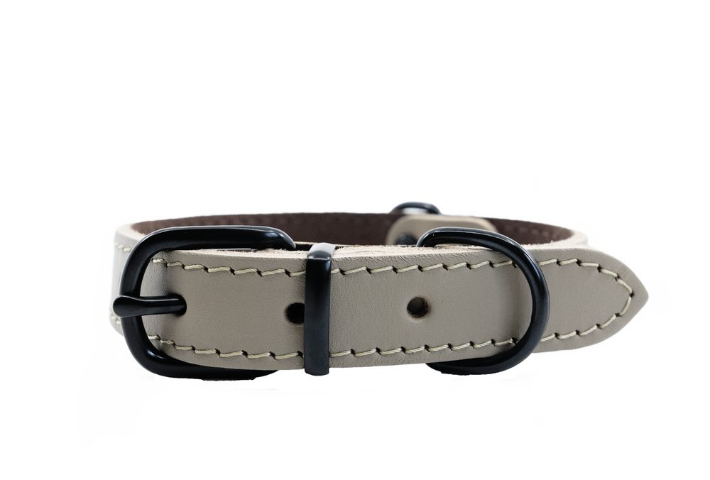 BAFPET Kožený obojek ARGUS, černé kování - Šedá