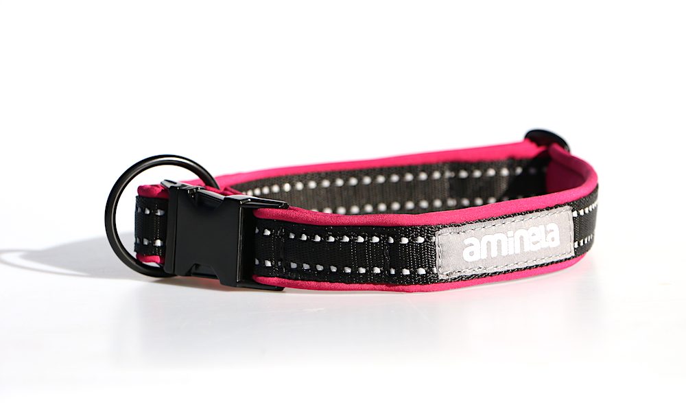 Aminela Sport & City Aminela obojek se sponou Sport & City 25mm/25-45cm, malinová