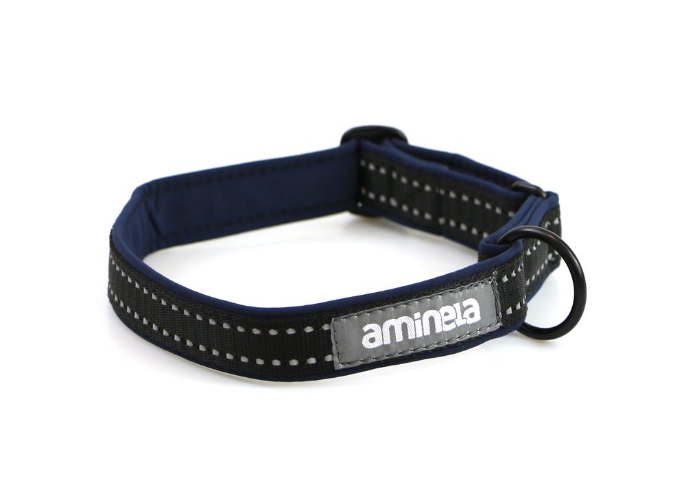 Aminela Sport & City Aminela klasik obojek Sport & City 25mm/35-70cm, modrá
