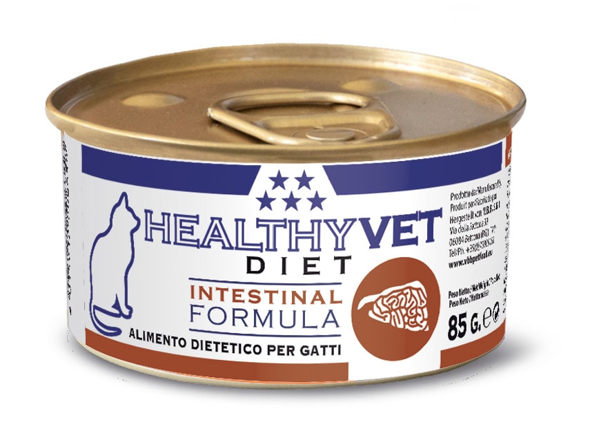 HEALTHYVET DIET cat Intestinal 85 g exp 02/2024 SLEVA 50%