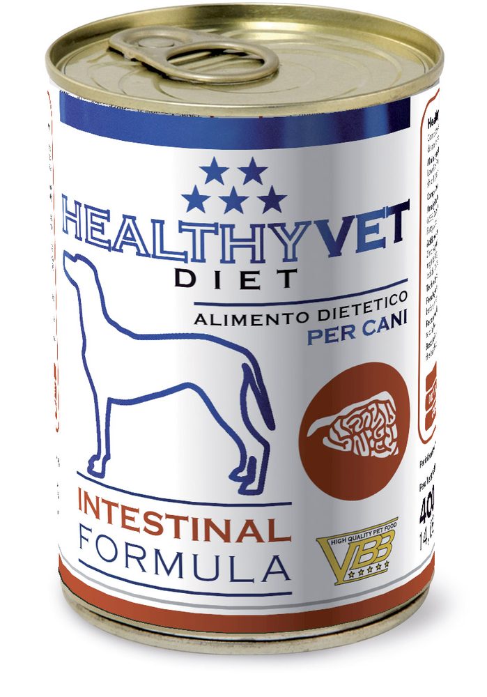 HEALTHYVET DIET dog Intestinal - podpora trávení a slinivky 400 g exp 02/2024 SLEVA 40%