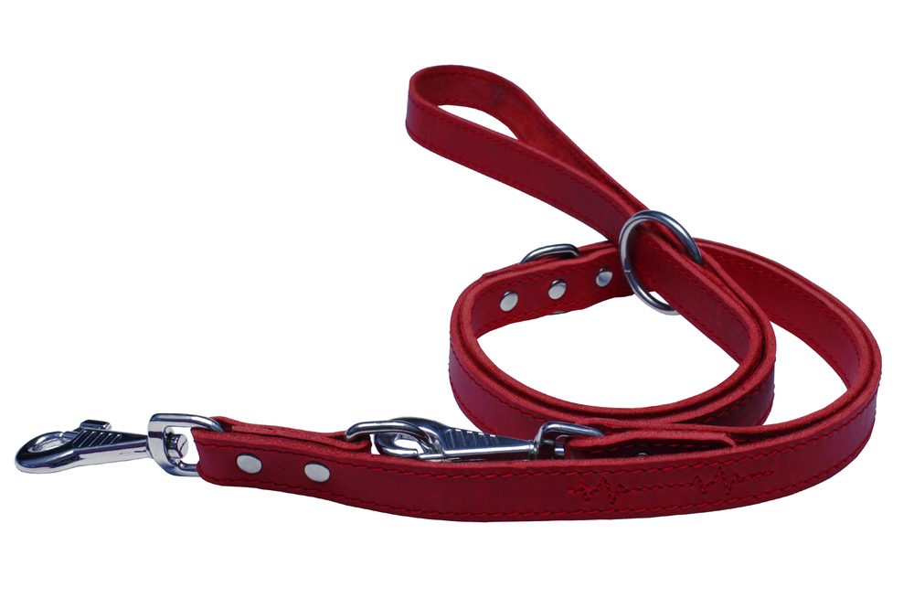 BAFPET Kožené přepínací vodítko EKG - Červená