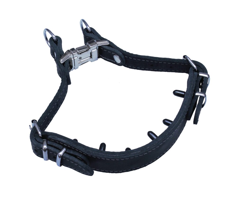 BAFPET Kožený obojek s ostny - Černá