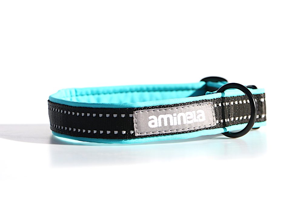 Aminela Sport & City Aminela klasik obojek Sport & City 25mm/30-50cm - tyrkysová