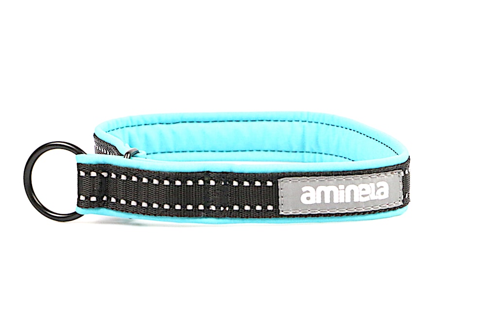 Aminela Sport & City Aminela obojek polostahovací Sport & City 25mm/42cm + 5cm, tyrkysová