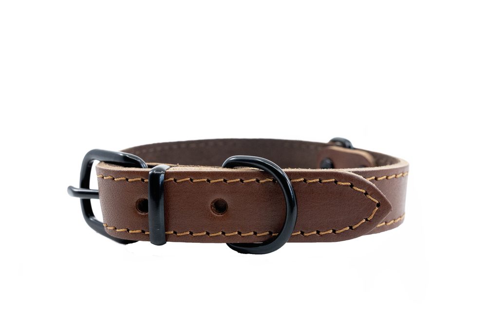 BAFPET Kožený obojek ARGUS, černé kování - Koňak