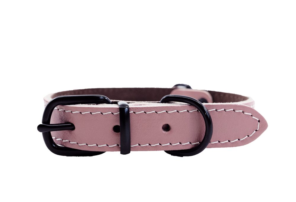 BAFPET Kožený obojek ARGUS, černé kování - Růžová