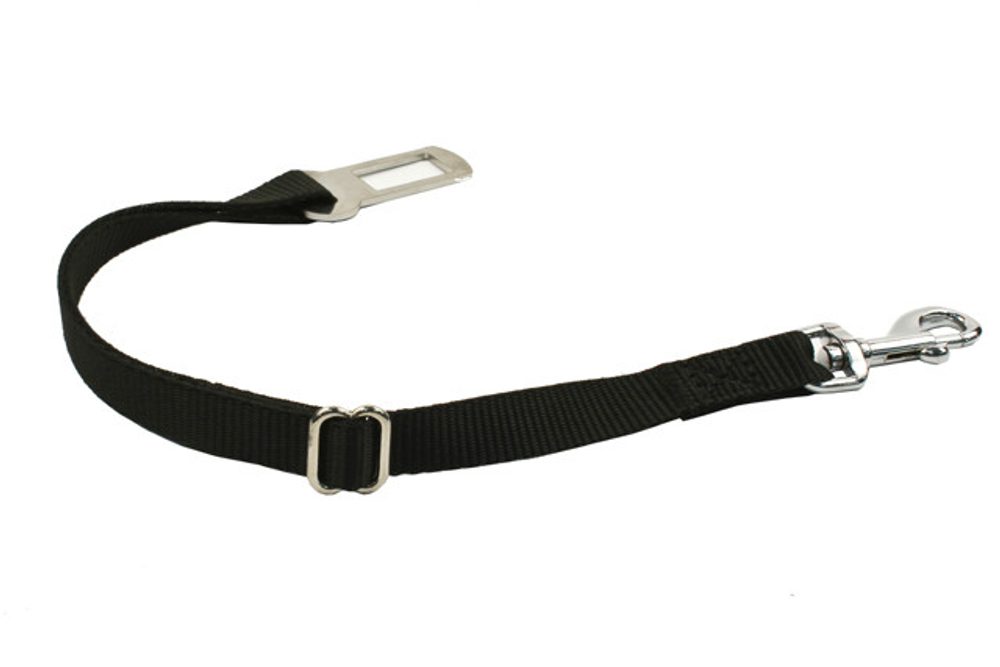 BAFPET Popruhový poutací pás do auta - Černá