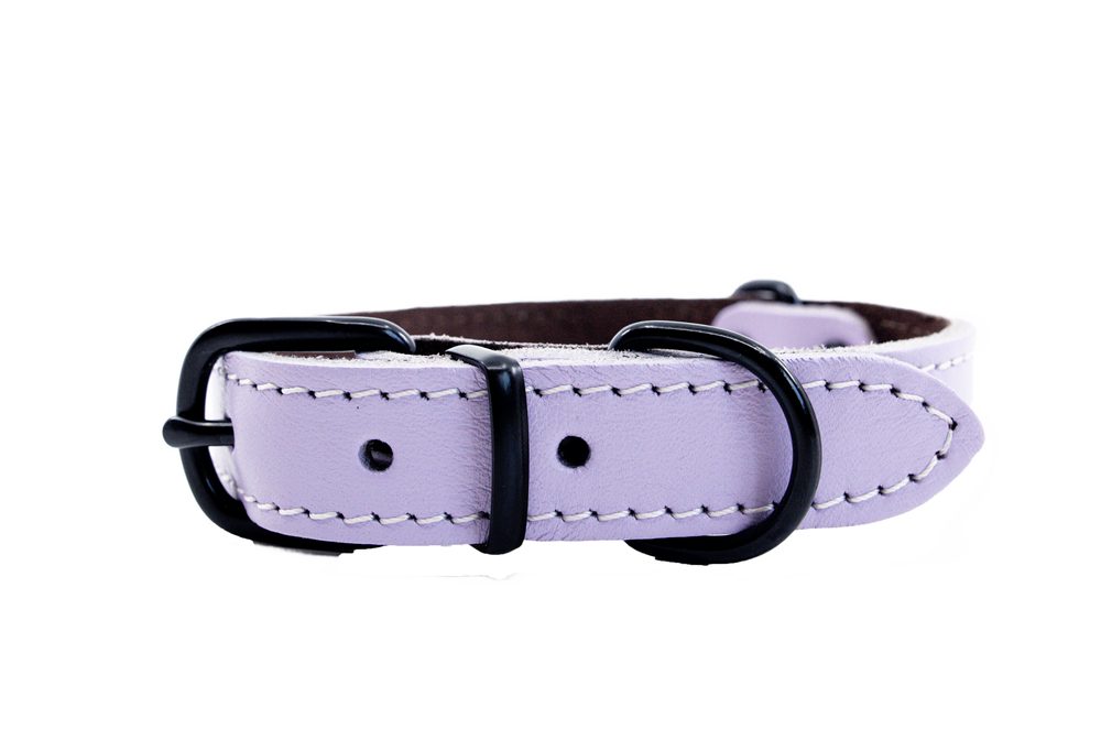 BAFPET Kožený obojek ARGUS, černé kování - Fialová - 20mm x 40cm /29-36/