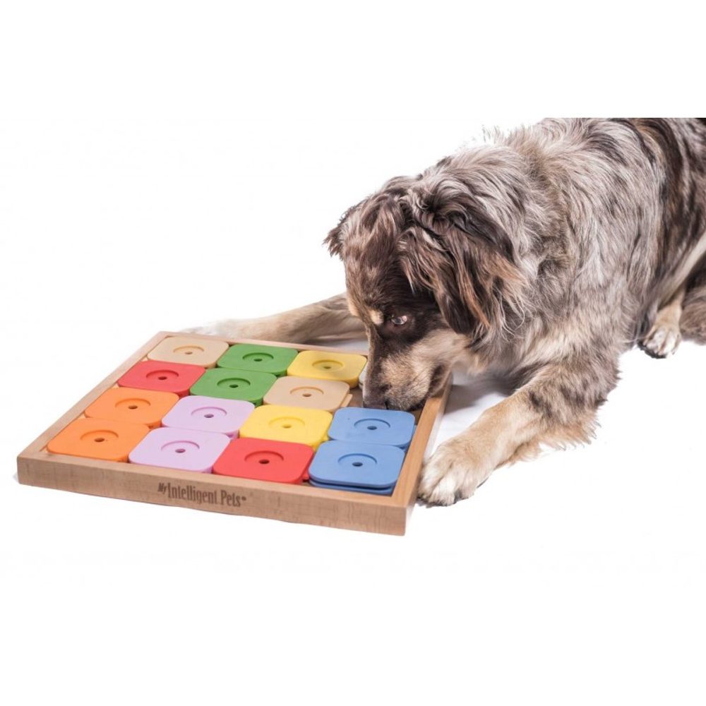 My Intelligent Pets Dřevěný hlavolam Sudoku Medium Genie Color