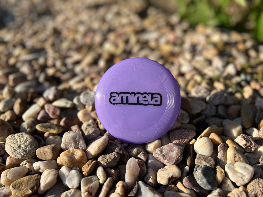 DTWorld Aminela Frisbee Fastback Mini Purple