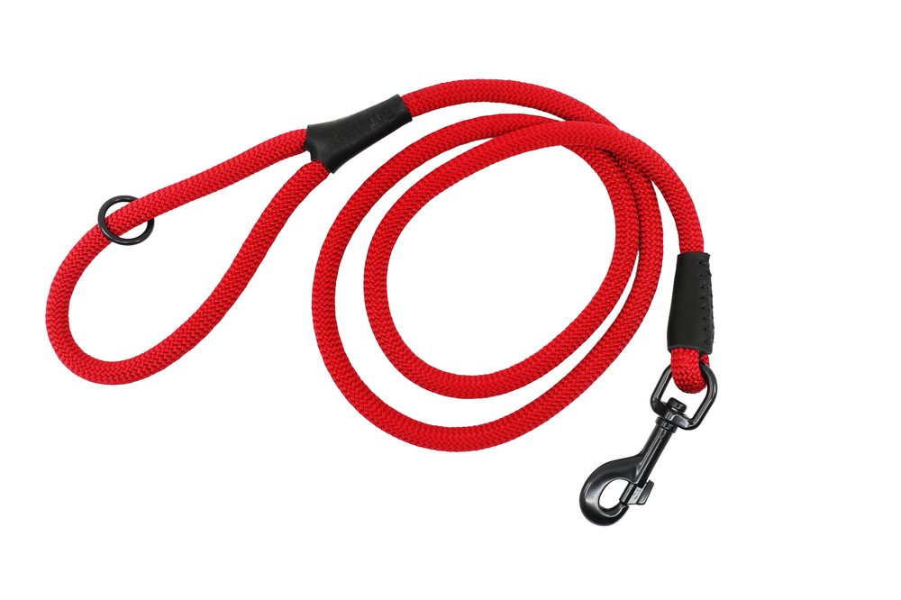 Aminela FERRATA lanové vodítko - Červená