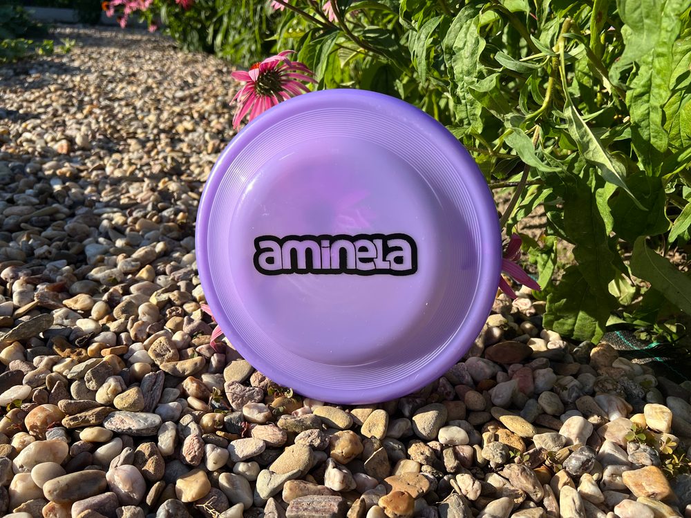 DTWorld Aminela Frisbee Fastback Classic Purple