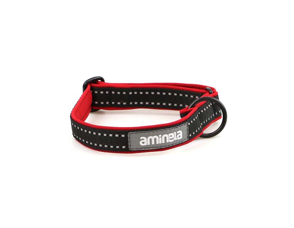 Aminela Sport & City Aminela klasik obojek Sport & City 25mm/30-50cm červená
