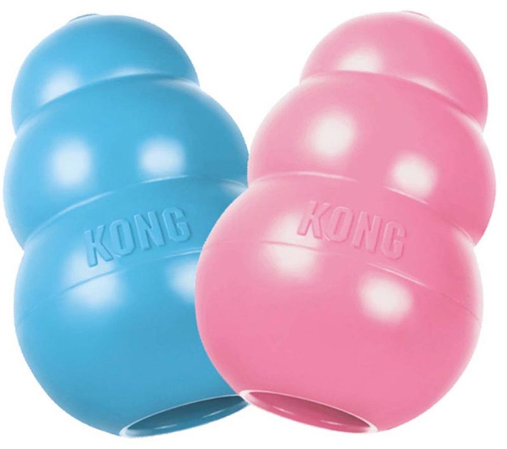 KONG Puppy granát M