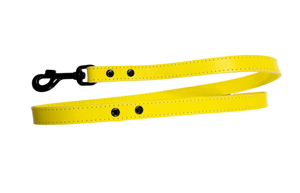 BAFPET Kožené vodítko HERRY, černé kování - Žlutá