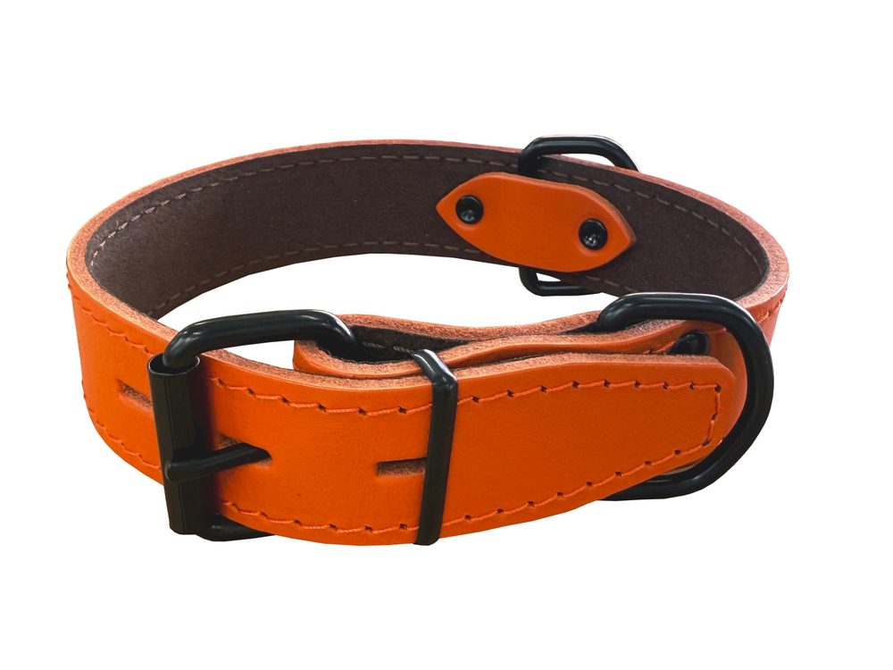 BAFPET Obojek HERRY, obšitý, černé kování - Oranžová