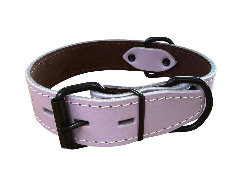 BAFPET Obojek HERRY, obšitý, černé kování - Fialová