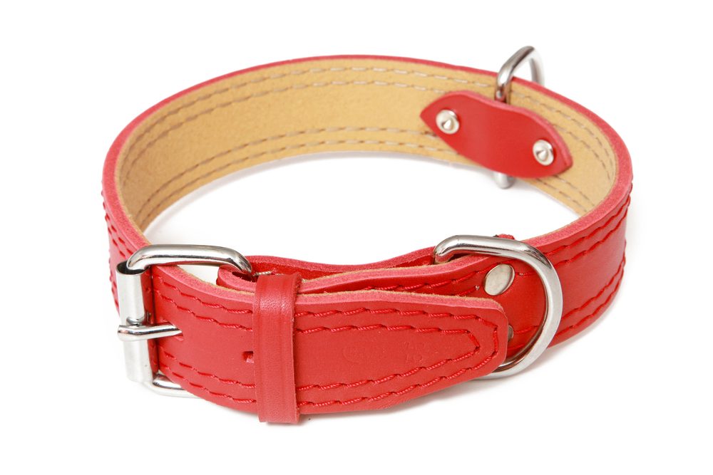 BAFPET Kožený obojek zdobený šitím, HERRY - Červená - Červená - 35mm x 50cm /35-45/ 07100A