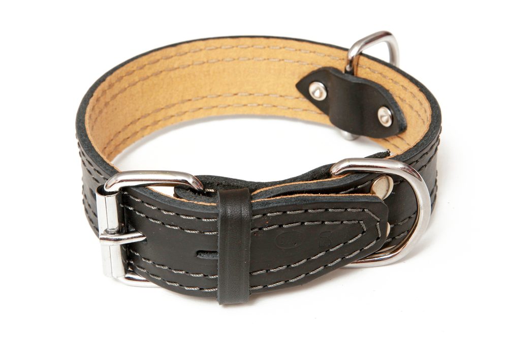 BAFPET Kožený obojek zdobený šitím, HERRY - Černá