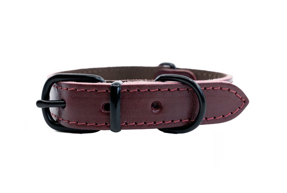 BAFPET Kožený obojek ARGUS, černé kování - Bordó