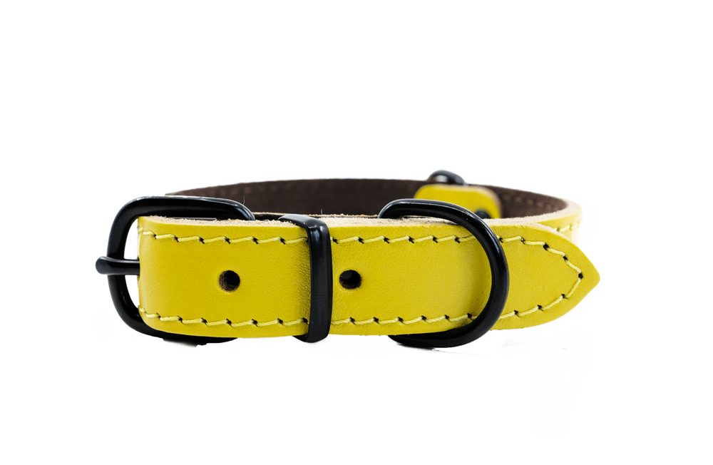 BAFPET Kožený obojek ARGUS, černé kování - Žlutá