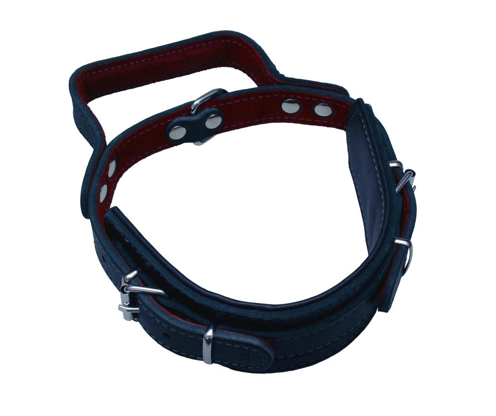 BAFPET Kožený obojek, obrana s uchem - Černá